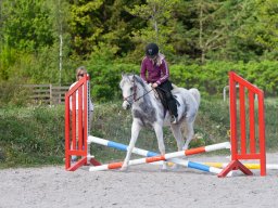 IMG_0544_web